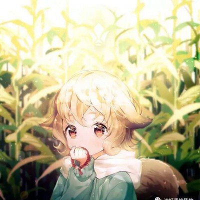 时隔20年重返欧冠